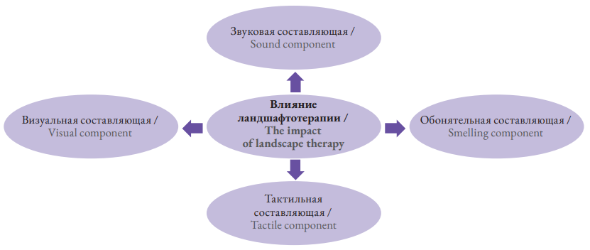 Изображение на обложке